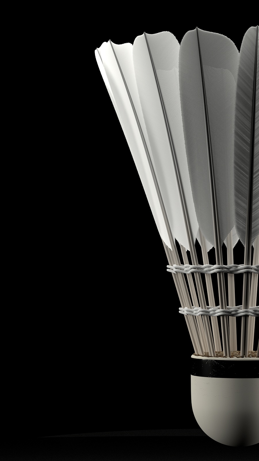 为了在欧洲 为了在欧洲